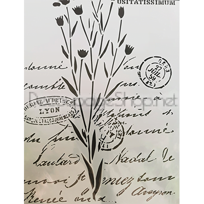 CADENCE УНИВЕРСАЛЕН ШАБЛОН 25/36СМ – BN-155