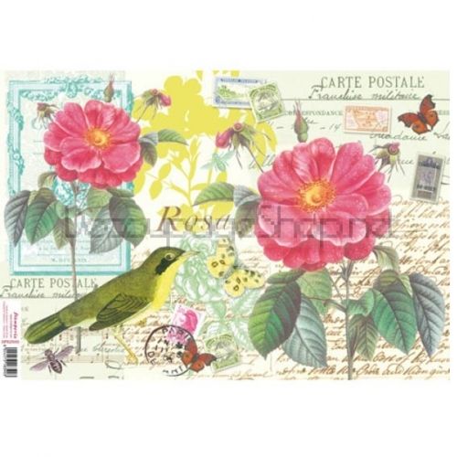 STAMPERIA ДЕКУПАЖНА ОРИЗОВА ХАРТИЯ 50 Х 35 - DFS255