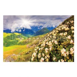 Пъзел 500 части - Рододендрони в Кавказ