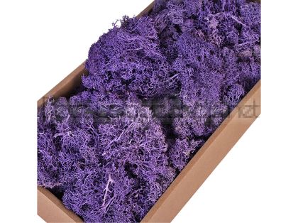 Скандинавски Мъх 500гр, Лавандула