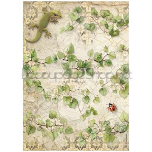 STAMPERIA ALL AROUND ДЕКУПАЖНА ОРИЗОВА ХАРТИЯ А4 IVY - DFSA41121